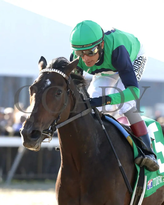 BLESS THE BROKEN - Bourbonette Oaks - 43rd Running - 03-22-25 - R11 - TP - Inside Finish 02 Turfway Park