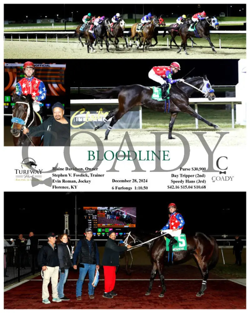 Bloodline - 12-28-24 R03 Tp Turfway Park