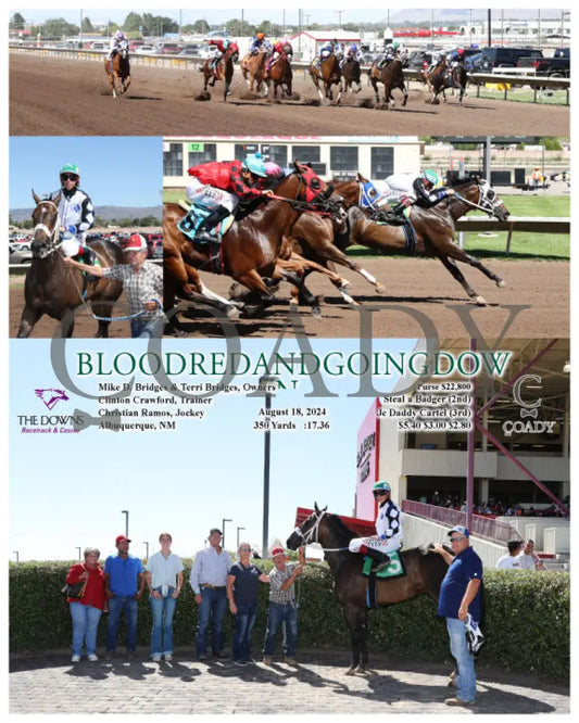 Bloodredandgoingdown - 08-18-24 R07 Alb Downs At Albuquerque