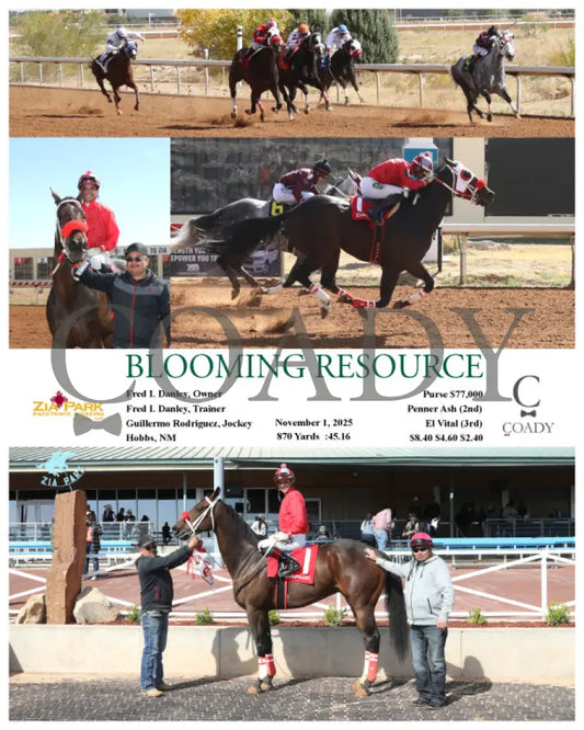 BLOOMING RESOURCE - 11-01-25 - R01 - ZIA Zia Park