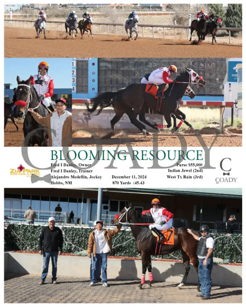 Blooming Resource - 12-11-24 R01 Zia Zia Park