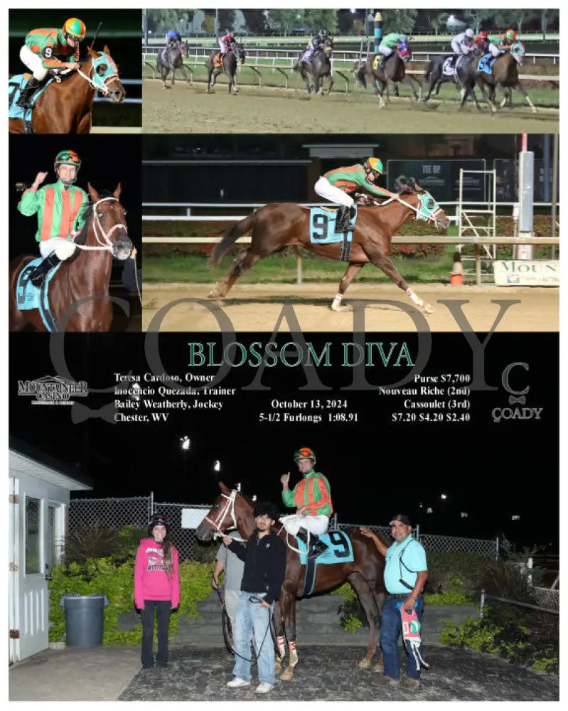 Blossom Diva - 10-13-24 R04 Mnr Mountaineer Park