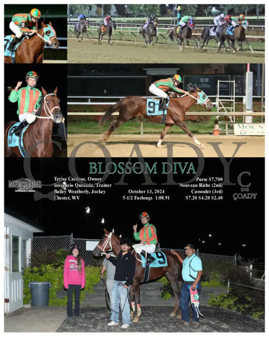 Blossom Diva - 10-13-24 R04 Mnr Mountaineer Park