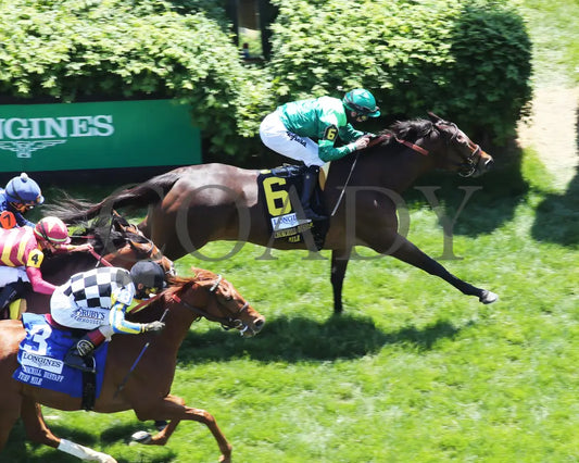 Blowout - The Longines Churchill Distaff Turf Mile G2 36Th Running 05-01-21 R06 Cd Aerial Finish 01