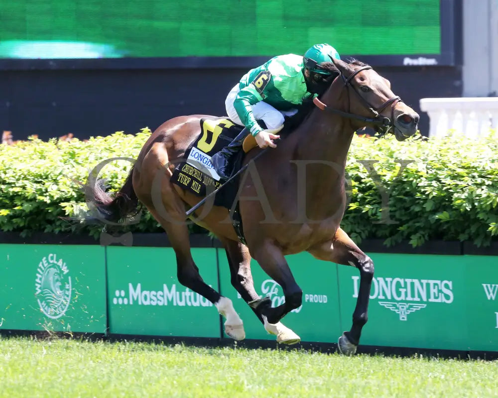 Blowout - The Longines Churchill Distaff Turf Mile G2 36Th Running 05-01-21 R06 Cd Finish 02 Downs