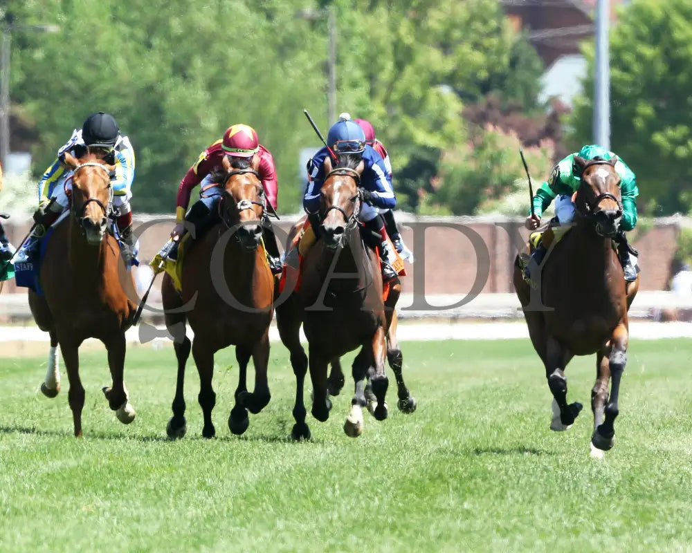 Blowout - The Longines Churchill Distaff Turf Mile G2 36Th Running 05-01-21 R06 Cd Head On 01 Downs