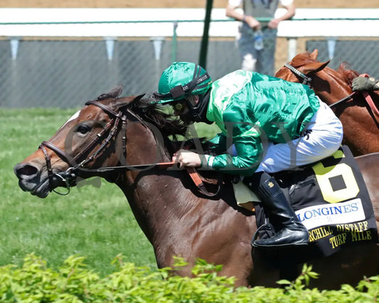 Blowout - The Longines Churchill Distaff Turf Mile G2 36Th Running 05-01-21 R06 Cd Inside Finish 01