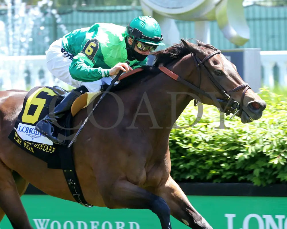 Blowout - The Longines Churchill Distaff Turf Mile G2 36Th Running 05-01-21 R06 Cd Tight Finish 01
