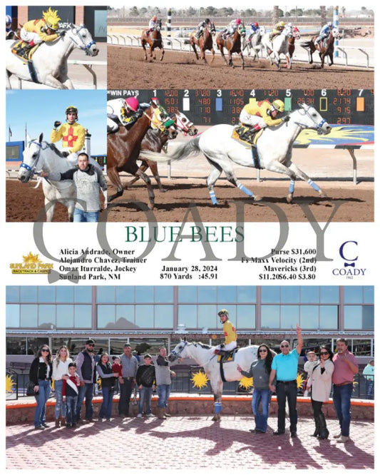 Blue Bees - 01-28-24 R04 Sun Sunland Park