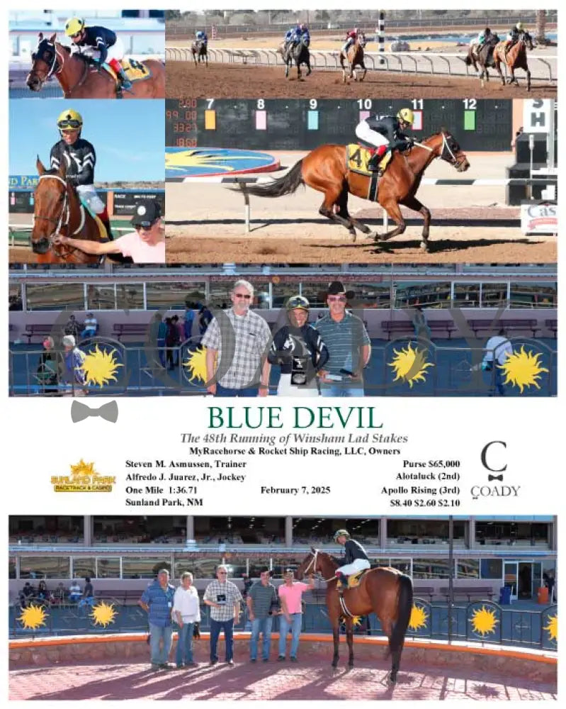BLUE DEVIL - Winsham Lad Stakes - 48th Running - 02-07-25 - R07 - SUN (Copy) - Coady Media - Kurtis Coady Photography
