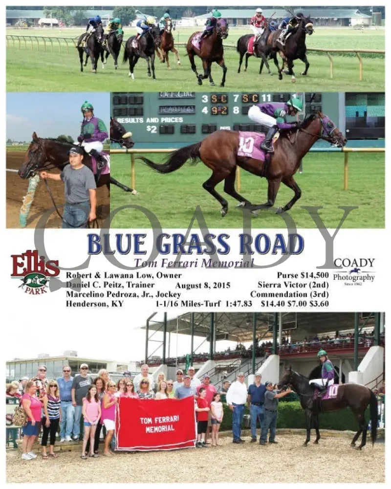 Blue Grass Road - 080815 Race 06 Elp Ellis Park