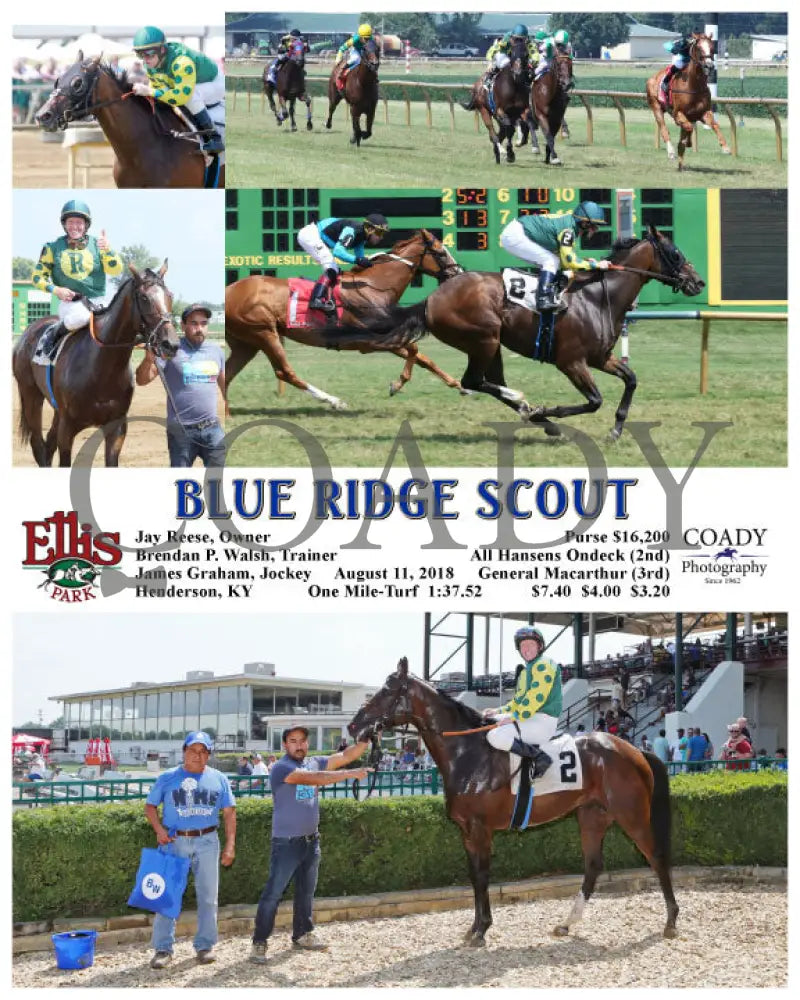 Blue Ridge Scout - 081118 Race 04 Elp Ellis Park