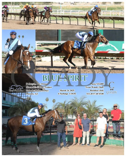 BLUE SPIRIT - 03-24-25 - R08 - TUP Turf Paradise