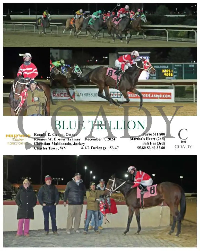 Blue Trillion - 12-07-24 R03 Ct Hollywood Casino At Charles Town Races