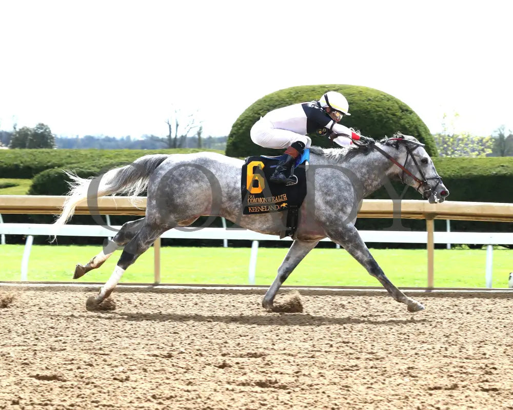 Bo Cruz - The Commonwealth G3 04 - 06 - 24 R06 Kee Finish 01 Keeneland