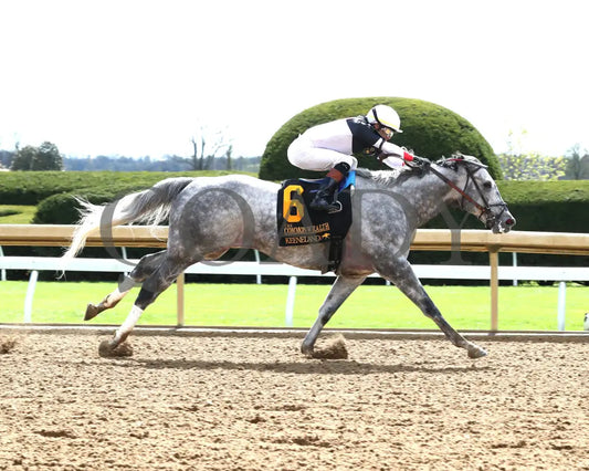 Bo Cruz - The Commonwealth G3 04 - 06 - 24 R06 Kee Finish 01 Keeneland