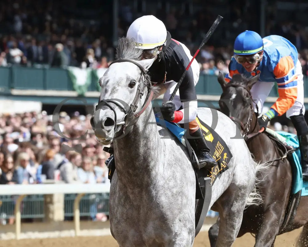 Bo Cruz - The Commonwealth G3 04 - 06 - 24 R06 Kee Inside Finish 01 Keeneland