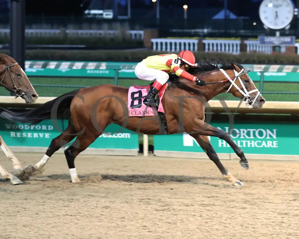 Bodexpress - The Clark G1 146Th Running 11-27-20 R10 Cd Finish 01 Churchill Downs