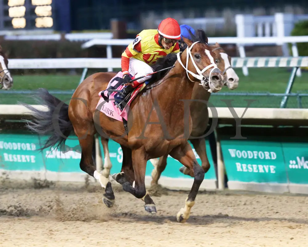 Bodexpress - The Clark G1 146Th Running 11-27-20 R10 Cd Finish 02 Churchill Downs