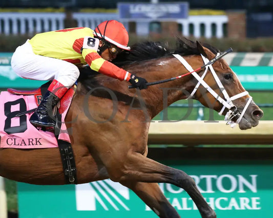 Bodexpress - The Clark G1 146Th Running 11-27-20 R10 Cd Finish 03 Churchill Downs