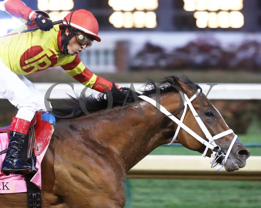 Bodexpress - The Clark G1 146Th Running 11-27-20 R10 Cd Finish 04 Churchill Downs