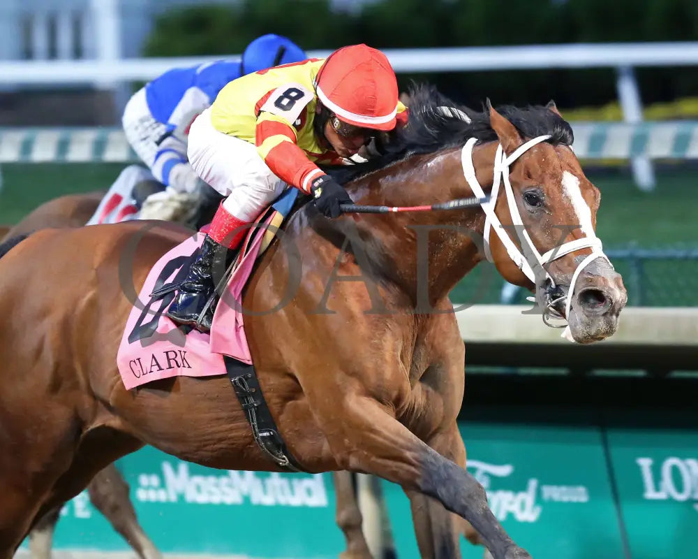 Bodexpress - The Clark G1 146Th Running 11-27-20 R10 Cd Finish 05 Churchill Downs