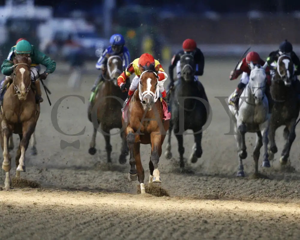 Bodexpress - The Clark G1 146Th Running 11-27-20 R10 Cd Head On 01 Churchill Downs