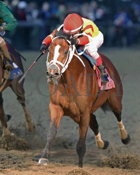 Bodexpress - The Clark G1 146Th Running 11-27-20 R10 Cd Inside Finish 01 Churchill Downs