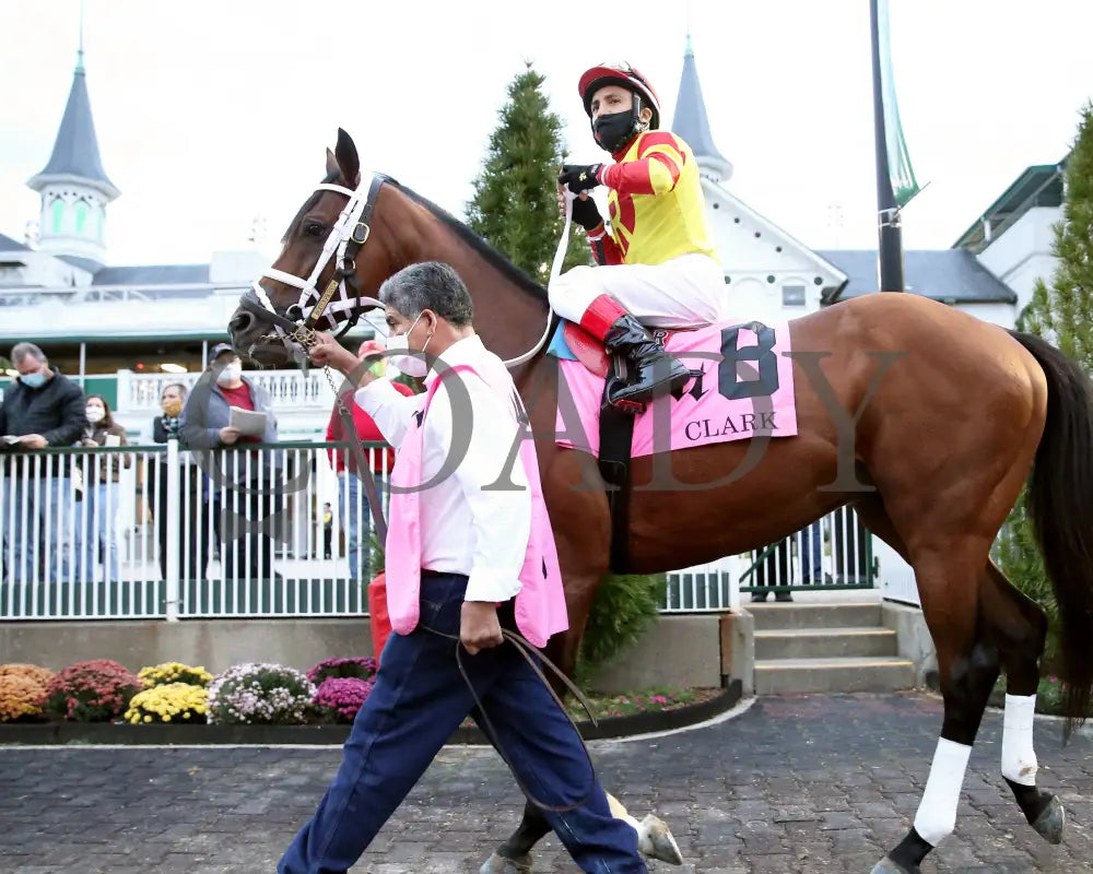 Bodexpress - The Clark G1 146Th Running 11-27-20 R10 Cd Paddock 01 Churchill Downs