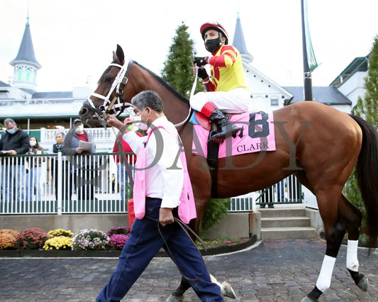 Bodexpress - The Clark G1 146Th Running 11-27-20 R10 Cd Paddock 01 Churchill Downs