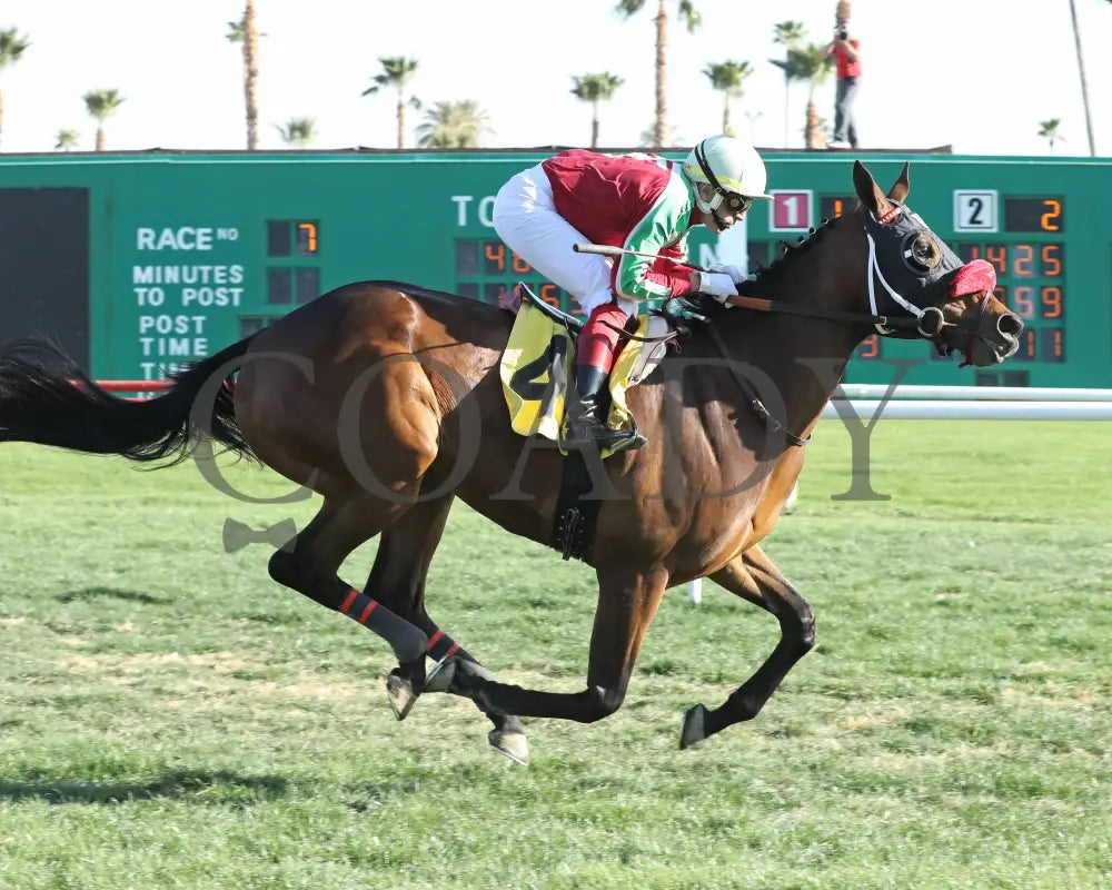 BODI ZAFA - Luke Kruytbosch Overnight Handicap - 02-19-25 - R07 - Turf Paradise - Finish Turf Paradise