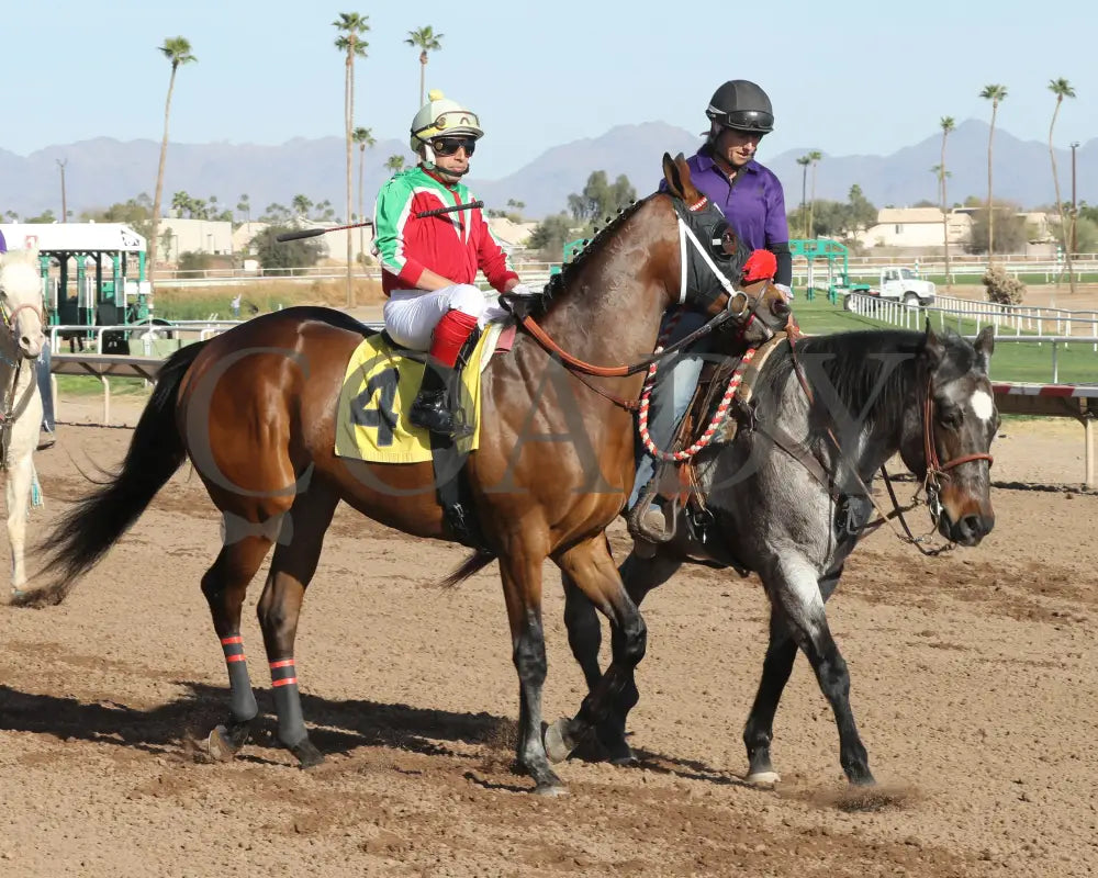 BODI ZAFA - Luke Kruytbosch Overnight Handicap - 02-19-25 - R07 - Turf Paradise - Post Parade Turf Paradise