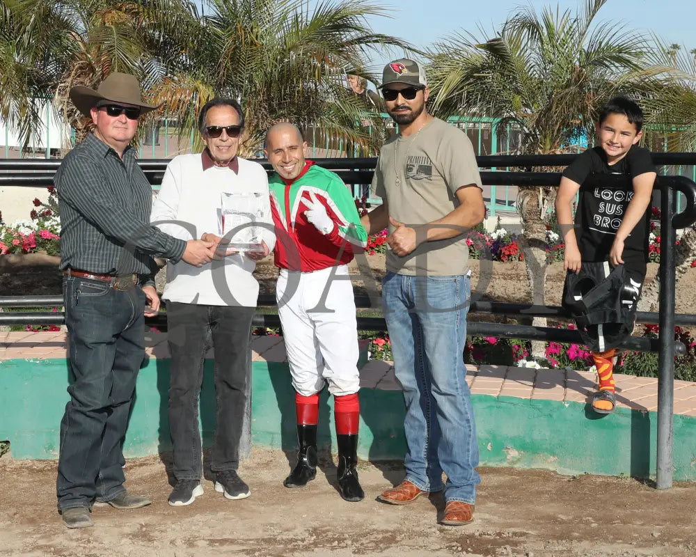 BODI ZAFA - Luke Kruytbosch Overnight Handicap - 02-19-25 - R07 - Turf Paradise - Presentation Turf Paradise