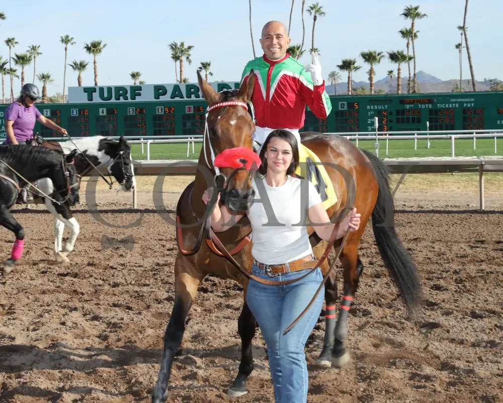 BODI ZAFA - Luke Kruytbosch Overnight Handicap - 02-19-25 - R07 - Turf Paradise - Return Shot 2 Turf Paradise