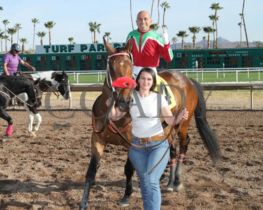 BODI ZAFA - Luke Kruytbosch Overnight Handicap - 02-19-25 - R07 - Turf Paradise - Return Shot 2 Turf Paradise