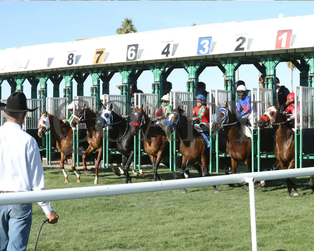 BODI ZAFA - Luke Kruytbosch Overnight Handicap - 02-19-25 - R07 - Turf Paradise - Start Turf Paradise