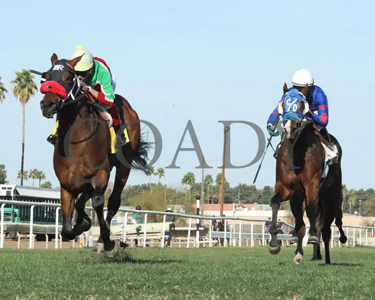 BODI ZAFA - Luke Kruytbosch Overnight Handicap - 02-19-25 - R07 - Turf Paradise - Under Rail Turf Paradise