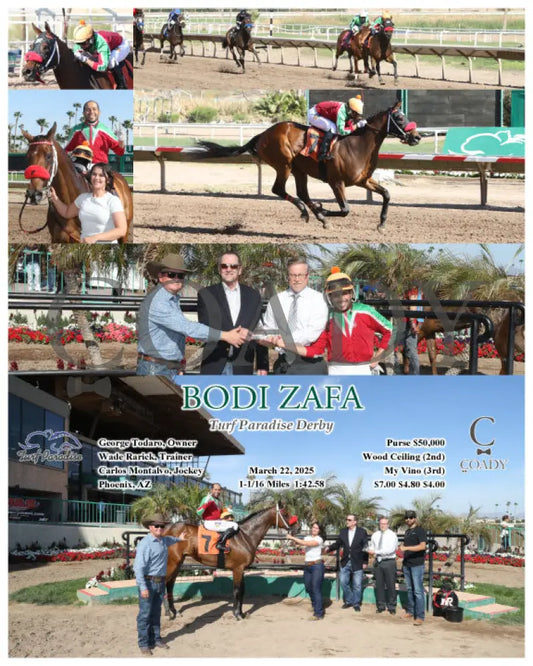 BODI ZAFA - Turf Paradise Derby - 03-22-25 - R06 - TUP Turf Paradise