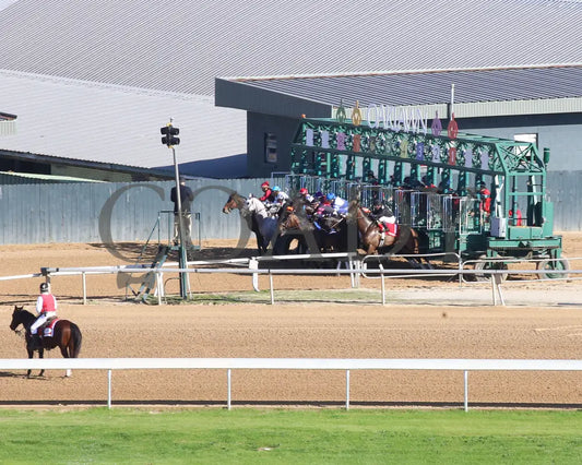 Bohemian Bo - Nodouble Breeders’ Stakes 16Th Running 03-02-24 R07 Op Aerial Start 01 Oaklawn Park