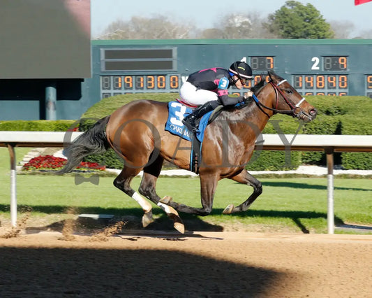 Bohemian Bo - Nodouble Breeders’ Stakes 16Th Running 03-02-24 R07 Op Finish 01 Oaklawn Park