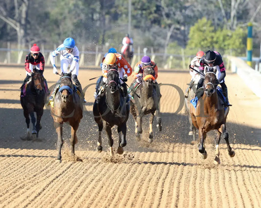 Bohemian Bo - Nodouble Breeders’ Stakes 16Th Running 03-02-24 R07 Op Head On 01 Oaklawn Park