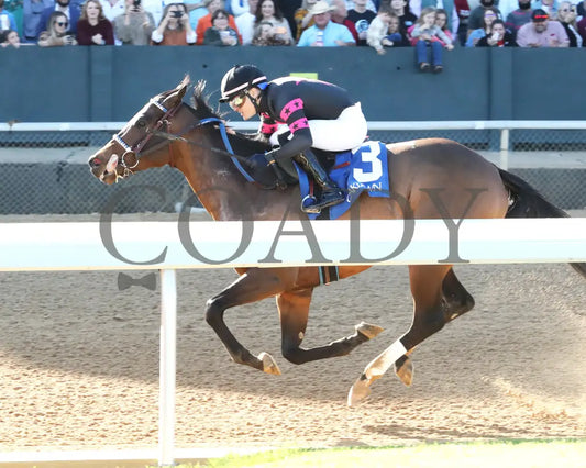 Bohemian Bo - Nodouble Breeders’ Stakes 16Th Running 03-02-24 R07 Op Inside Finish 01 Oaklawn Park