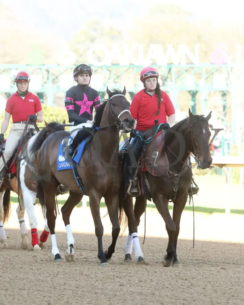Bohemian Bo - Nodouble Breeders’ Stakes 16Th Running 03-02-24 R07 Op Post Parade 01 Oaklawn Park