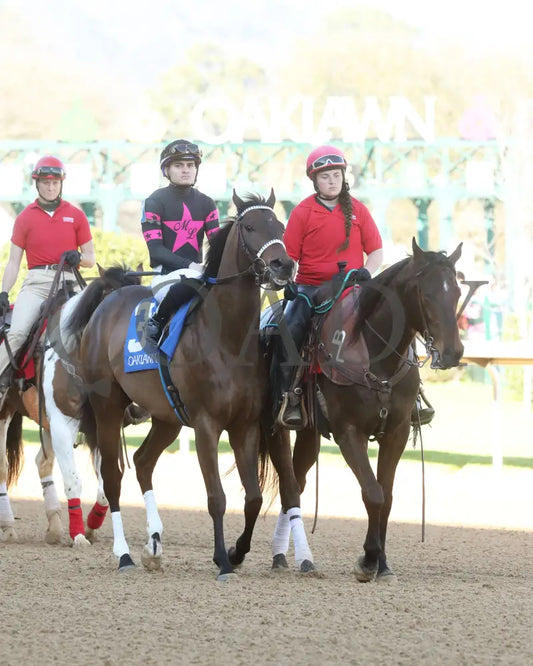 Bohemian Bo - Nodouble Breeders’ Stakes 16Th Running 03-02-24 R07 Op Post Parade 01 Oaklawn Park