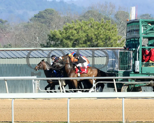 Bohemian Bo - Nodouble Breeders’ Stakes 16Th Running 03-02-24 R07 Op Start 01 Oaklawn Park