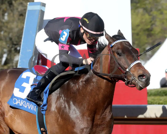 Bohemian Bo - Nodouble Breeders’ Stakes 16Th Running 03-02-24 R07 Op Tight Finish 01 Oaklawn Park
