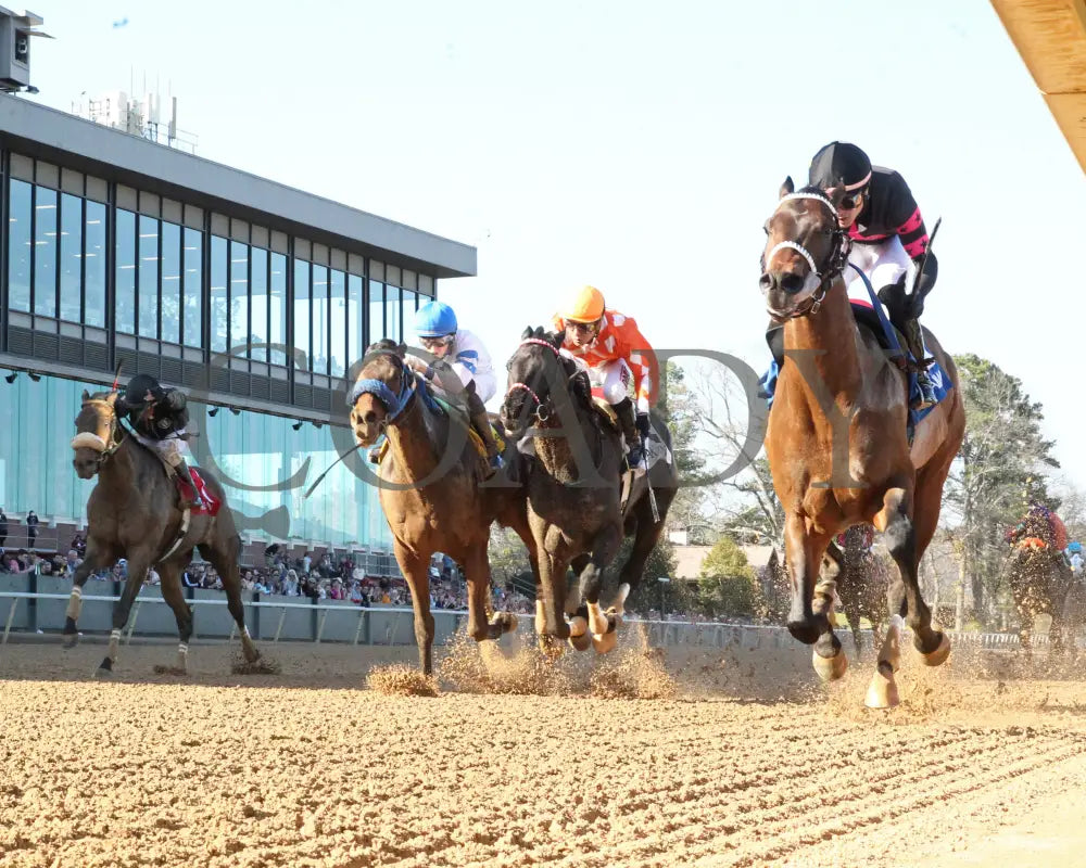 Bohemian Bo - Nodouble Breeders’ Stakes 16Th Running 03-02-24 R07 Op Under Rail 01 Oaklawn Park