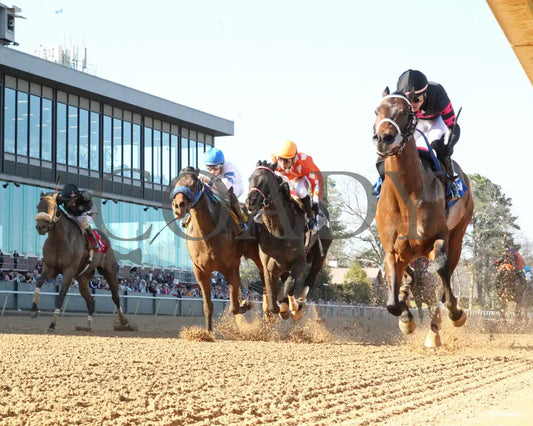 Bohemian Bo - Nodouble Breeders’ Stakes 16Th Running 03-02-24 R07 Op Under Rail 01 Oaklawn Park
