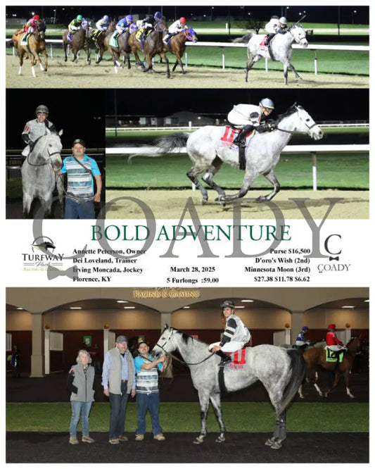 BOLD ADVENTURE - 03-28-25 - R06 - TP Indiana Downs