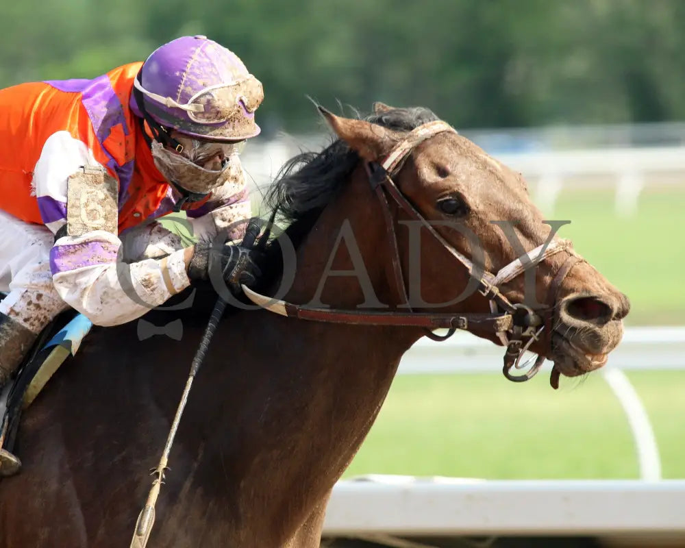 Bold Cait - 051015 Race 04 Btp Fin Tight Belterra Park